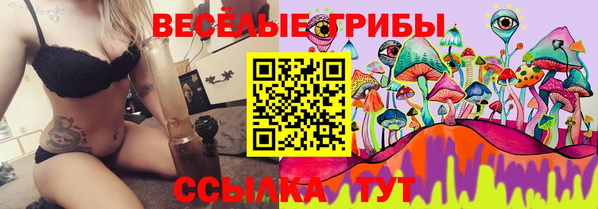 Сафоново  Псилоцибиновые грибы прущие грибы  Вход с VPN 